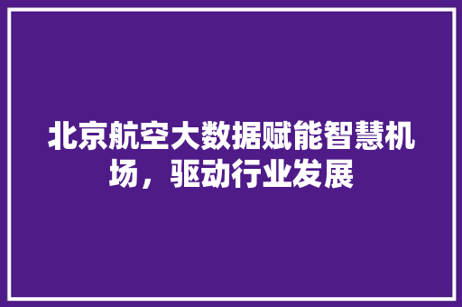 北京航空大数据赋能智慧机场，驱动行业发展