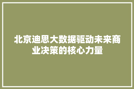 北京迪思大数据驱动未来商业决策的核心力量