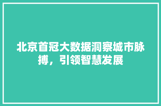 北京首冠大数据洞察城市脉搏，引领智慧发展