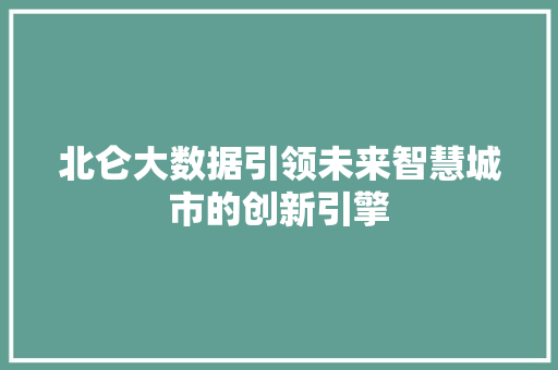 北仑大数据引领未来智慧城市的创新引擎
