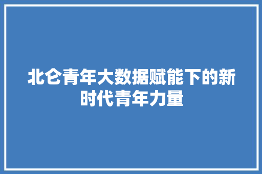 北仑青年大数据赋能下的新时代青年力量