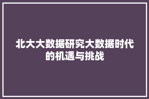 北大大数据研究大数据时代的机遇与挑战