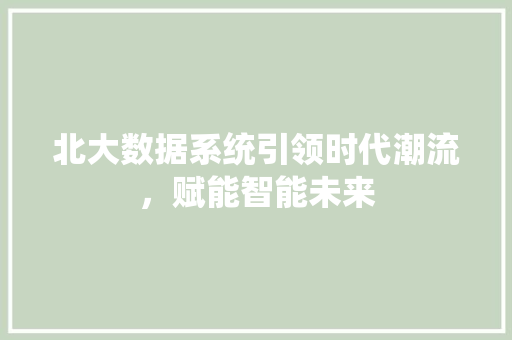 北大数据系统引领时代潮流，赋能智能未来