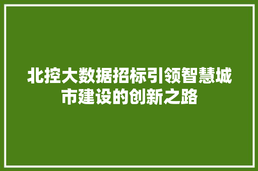 北控大数据招标引领智慧城市建设的创新之路