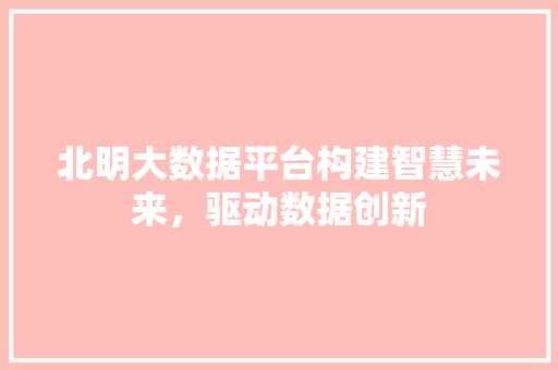 北明大数据平台构建智慧未来，驱动数据创新
