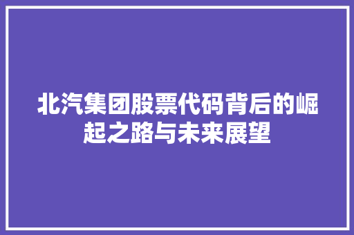 北汽集团股票代码背后的崛起之路与未来展望