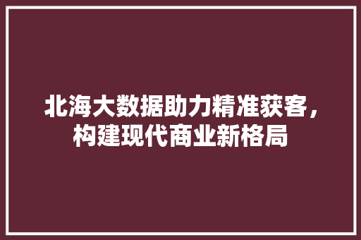 北海大数据助力精准获客，构建现代商业新格局