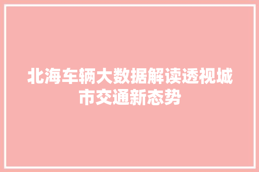 北海车辆大数据解读透视城市交通新态势