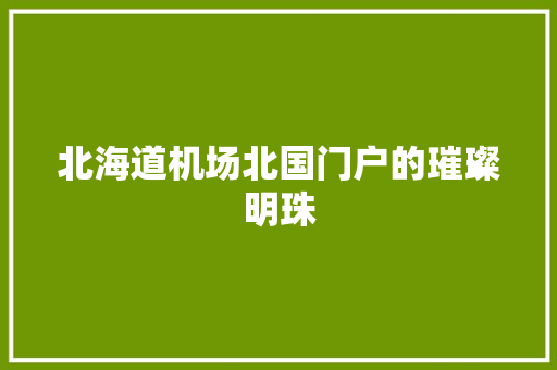 北海道机场北国门户的璀璨明珠