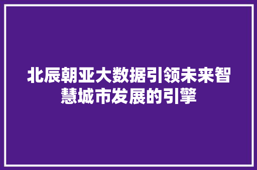 北辰朝亚大数据引领未来智慧城市发展的引擎