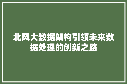 北风大数据架构引领未来数据处理的创新之路