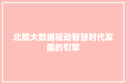 北鲲大数据驱动智慧时代发展的引擎