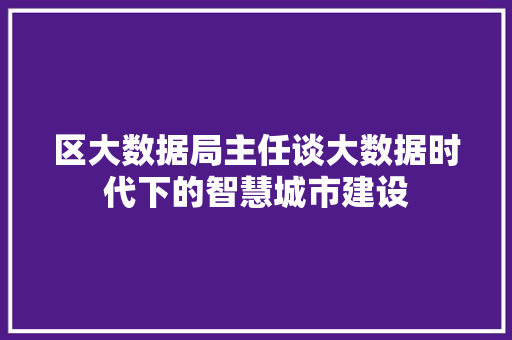 区大数据局主任谈大数据时代下的智慧城市建设