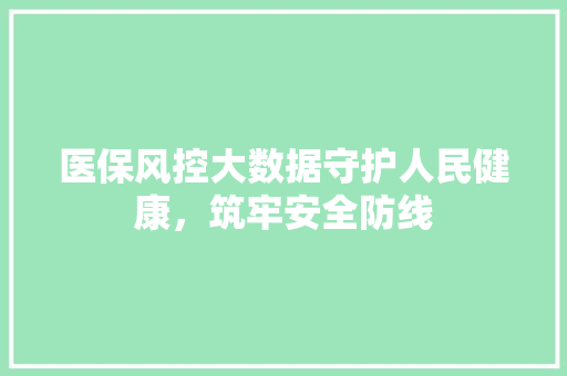 医保风控大数据守护人民健康，筑牢安全防线 友链在线