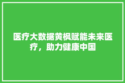医疗大数据黄枫赋能未来医疗，助力健康中国