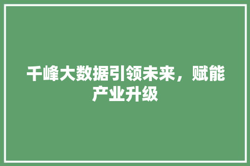 千峰大数据引领未来，赋能产业升级