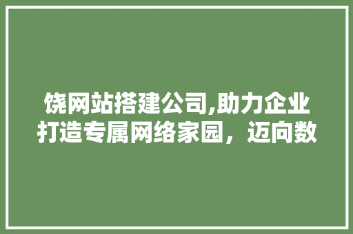 饶网站搭建公司,助力企业打造专属网络家园，迈向数字化新时代