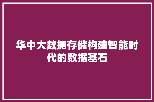 华中大数据存储构建智能时代的数据基石