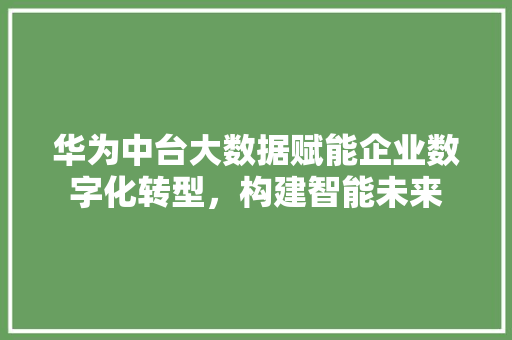 华为中台大数据赋能企业数字化转型，构建智能未来
