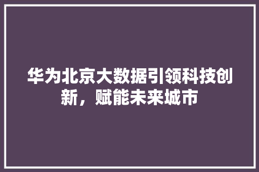 华为北京大数据引领科技创新，赋能未来城市