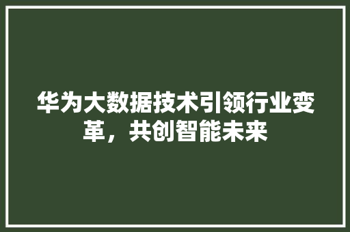 华为大数据技术引领行业变革，共创智能未来