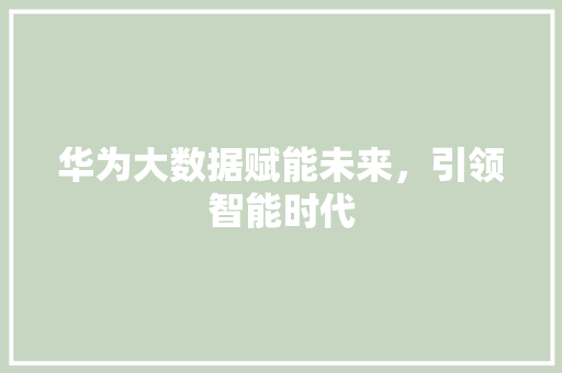 华为大数据赋能未来，引领智能时代
