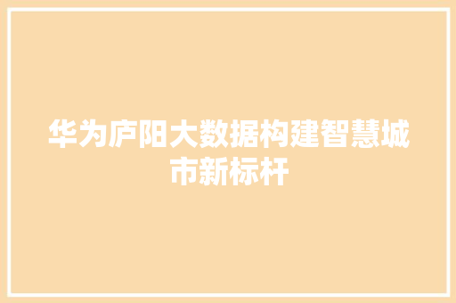 华为庐阳大数据构建智慧城市新标杆