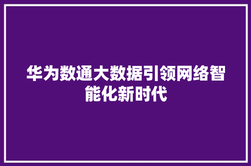 华为数通大数据引领网络智能化新时代