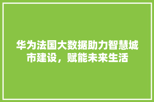 华为法国大数据助力智慧城市建设，赋能未来生活