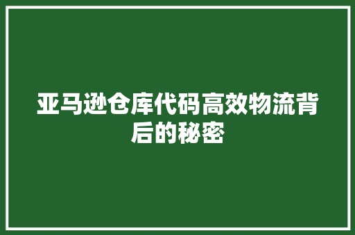 亚马逊仓库代码高效物流背后的秘密 建站教程