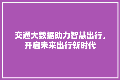 交通大数据助力智慧出行，开启未来出行新时代 建站教程