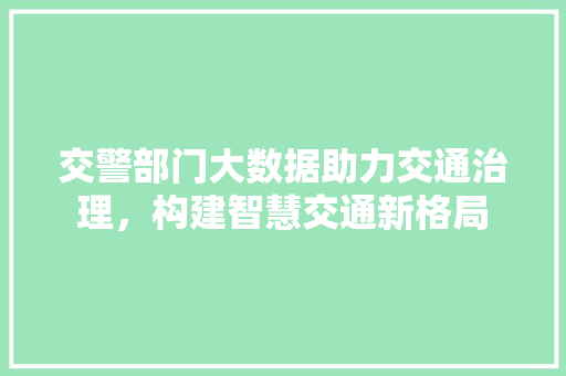交警部门大数据助力交通治理，构建智慧交通新格局
