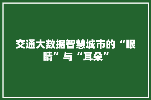 交通大数据智慧城市的“眼睛”与“耳朵” Web前端