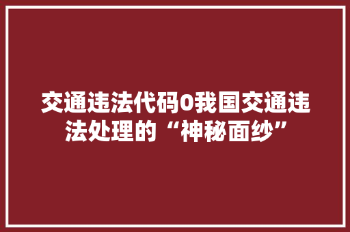 交通违法代码0我国交通违法处理的“神秘面纱” 建站教程