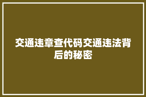 交通违章查代码交通违法背后的秘密