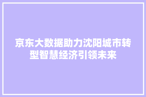 京东大数据助力沈阳城市转型智慧经济引领未来 友链在线