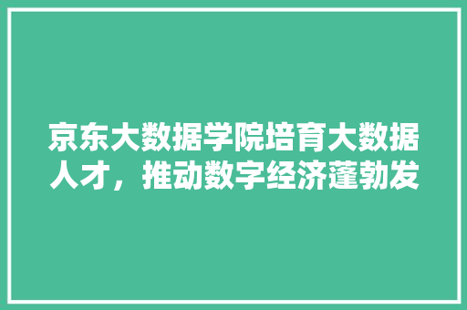 京东大数据学院培育大数据人才，推动数字经济蓬勃发展