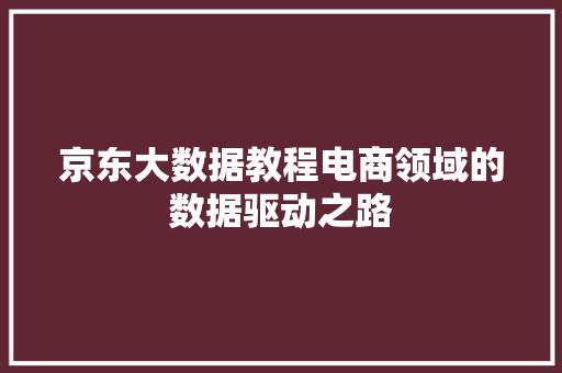 京东大数据教程电商领域的数据驱动之路