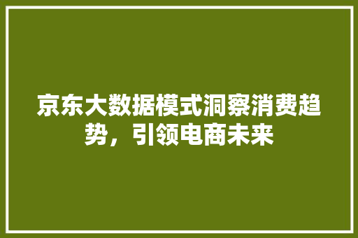 京东大数据模式洞察消费趋势，引领电商未来