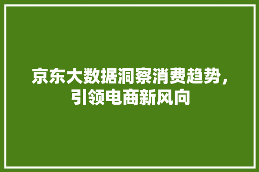 京东大数据洞察消费趋势，引领电商新风向
