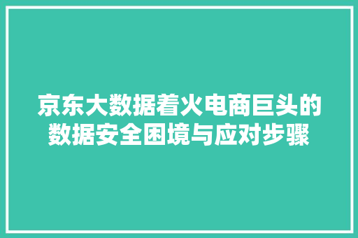 京东大数据着火电商巨头的数据安全困境与应对步骤
