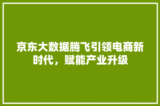 京东大数据腾飞引领电商新时代，赋能产业升级