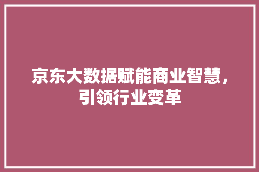 京东大数据赋能商业智慧，引领行业变革