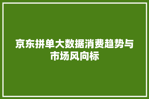 京东拼单大数据消费趋势与市场风向标