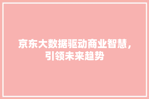 京东大数据驱动商业智慧，引领未来趋势