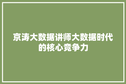 京涛大数据讲师大数据时代的核心竞争力