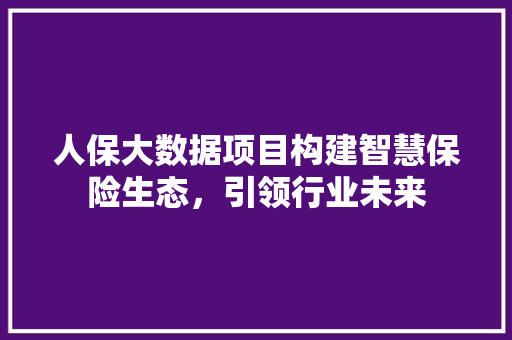人保大数据项目构建智慧保险生态，引领行业未来