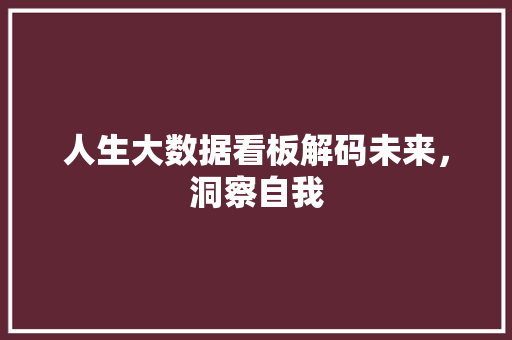 人生大数据看板解码未来，洞察自我