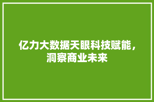 亿力大数据天眼科技赋能，洞察商业未来