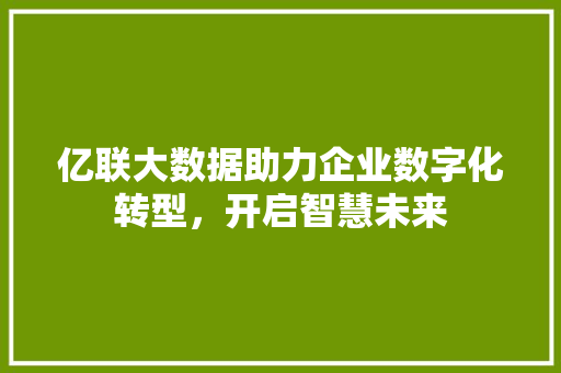 亿联大数据助力企业数字化转型，开启智慧未来